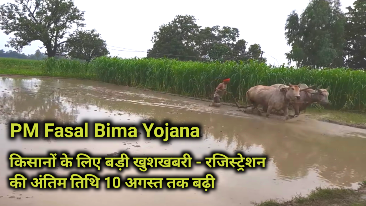 PM Fasal Bima Yojana: Big news for farmers - Last date of registration extended till 10th August