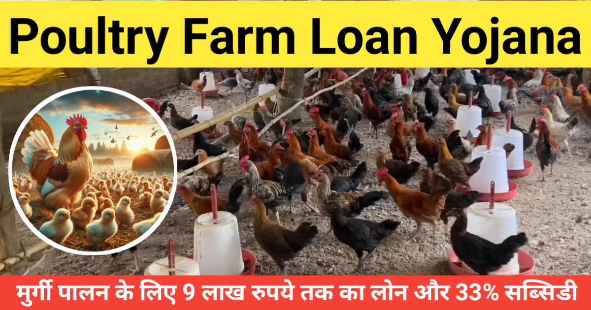 Poultry Farm Loan Yojana 2024: मुर्गी पालन के लिए 9 लाख रुपये तक का लोन और 33% सब्सिडी